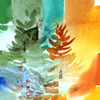 [Redwood Study]